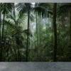 Tropical Jungle Forest Wallpaper Photo Wall Mural Wall UV Print Decal Wall Art Décor