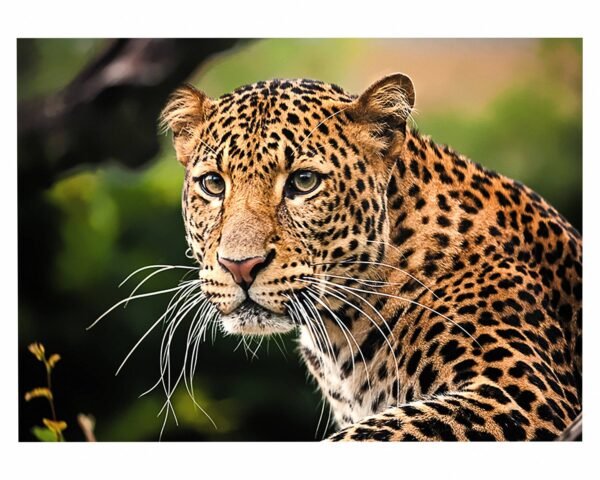 Amotekun Animal - Self Adhesive Wall Sticker, Animal Wall Decal, Bedroom Wall Sticker, Removable Vinyl, Wall Decoration