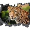 Amotekun Animal - Self Adhesive Wall Sticker, Animal Wall Decal, Bedroom Wall Sticker, Removable Vinyl, Wall Decoration