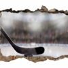 Hockey Wall Décor - Wall Decal Sport, Bedroom Wall Art, Peel and Stick, Sport Wall Decor, Vinyl Decal, Wall Decoration