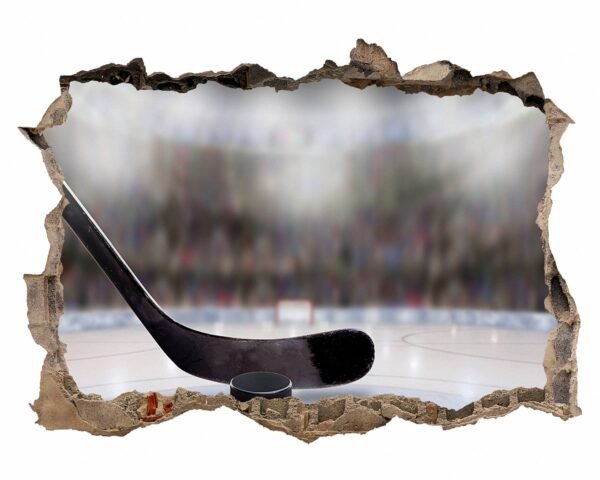 Hockey Wall Décor - Wall Decal Sport, Bedroom Wall Art, Peel and Stick, Sport Wall Decor, Vinyl Decal, Wall Decoration